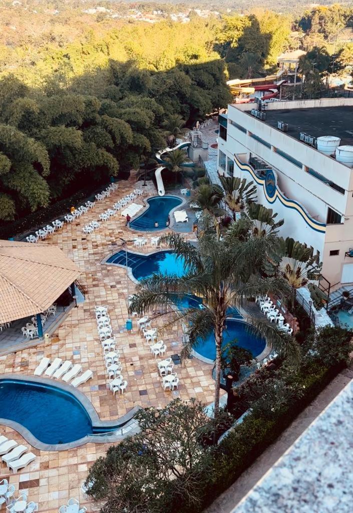- Golden Dolphin Grand