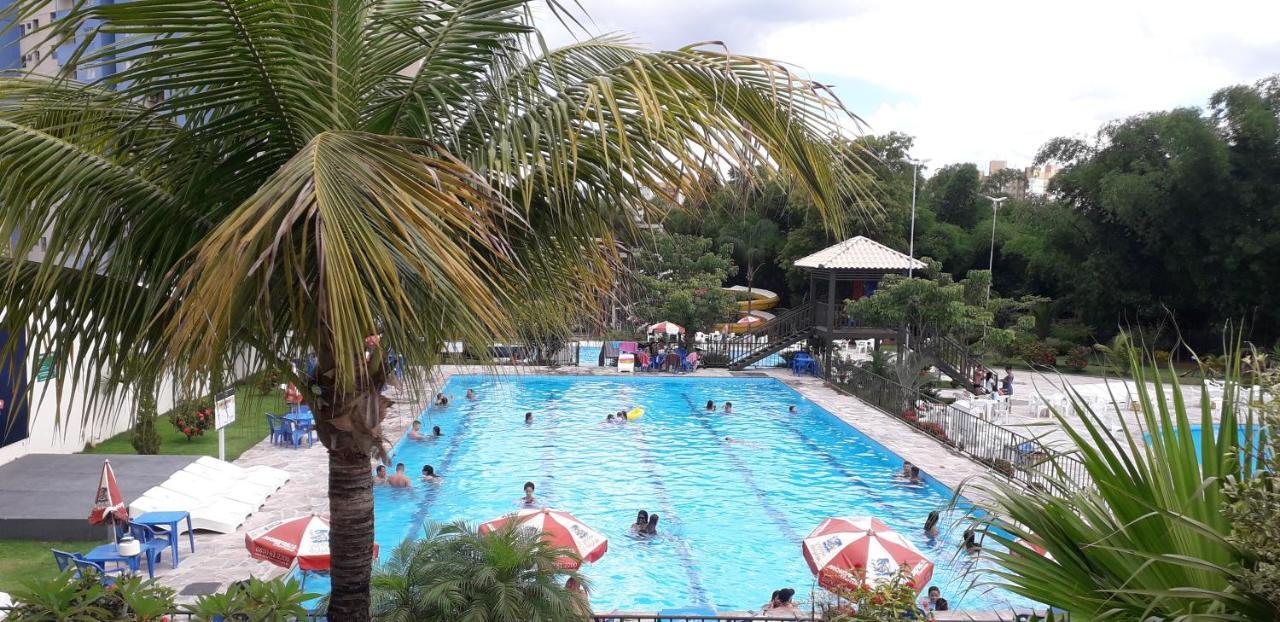 - Golden Dolphin Grand 3*